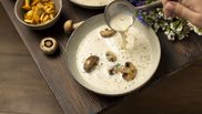supa crema de ciuperci