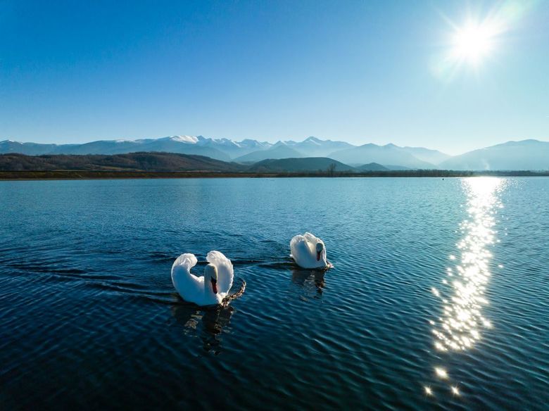 Sâmbătă, de la ora 15:00, în ”ROventura” Sâmbătă, de la ora 15:00, în ”ROventura”