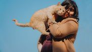 Cum pot adopta femeile o pisică? Care sunt pașii pentru a avea felina în căminul vostru