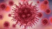 Cum putem combate infecția cu HPV