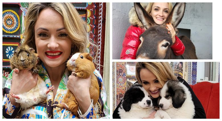 ”Sunt o familie care formează un grup infracțional organizat.” Amalia Bellantoni a fost acuzată de agresiune fizică asupra animalelor! Cum s-a apărat vedeta