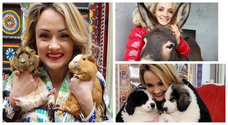”Sunt o familie care formează un grup infracțional organizat.” Amalia Bellantoni a fost acuzată de agresiune fizică asupra animalelor! Cum s-a apărat vedeta ”Sunt o familie care formează un grup infracțional organizat.” Amalia Bellantoni a fost acuzată de agresiune fizică asupra animalelor! Cum s-a apărat vedeta