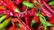 Mituri despre dietele alimentare