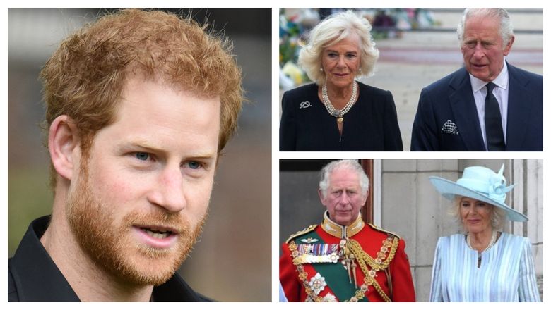 Prințul Harry, gesturi ironice la &icirc;ncoronarea tatălui său