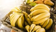 Unde trebuie ținute bananele