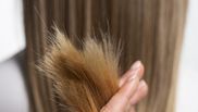 Caracteristicile părului deteriorat