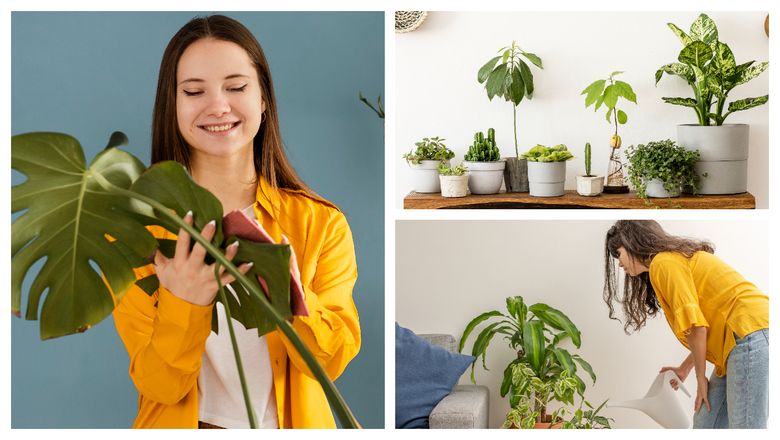 Ce medicament obișnuit prelungește durata de viață a plantelor și florilor din grădină. Secretul este cunoscut doar de grădinari experimentați Ce medicament obișnuit prelungește durata de viață a plantelor și florilor din grădină. Secretul este cunoscut doar de grădinari experimentați