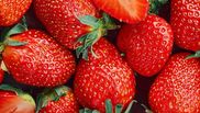 Ce ingredient secret foloseau bunicile pentru ca dulceața de căpșuni să iasă delicioasă