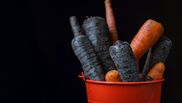 Ce trebuie să facă femeile pentru a salva morcovii înnegriți. Trucul util care previne risipa alimentară!