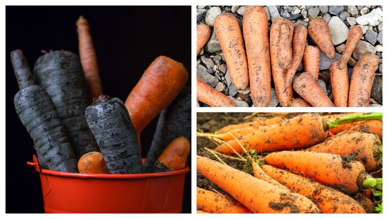 Ce trebuie să facă femeile pentru a salva morcovii înnegriți. Trucul util care previne risipa alimentară!