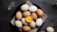 alimente bogate in fier