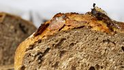 paine ciabatta cu masline