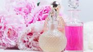 parfum regina price