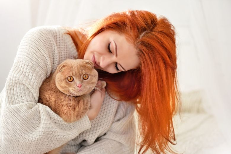 10 semne că pisica ta te iubește. Decriptarea semnelor de afecțiune din partea pisicilor!