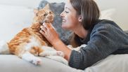 10 semne că pisica ta te iubește. Decriptarea semnelor de afecțiune din partea pisicilor!