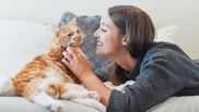 10 semne că pisica ta te iubește. Decriptarea semnelor de afecțiune din partea pisicilor!