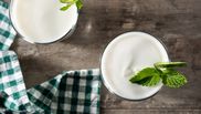 diferenta dintre sana si kefir