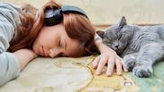 De ce doarme pisica lângă tine. Secretul felinelor dezvăluit pe înțelesul tuturor