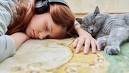 De ce doarme pisica lângă tine. Secretul felinelor dezvăluit pe înțelesul tuturor