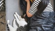 De ce doarme pisica lângă tine. Secretul felinelor dezvăluit pe înțelesul tuturor