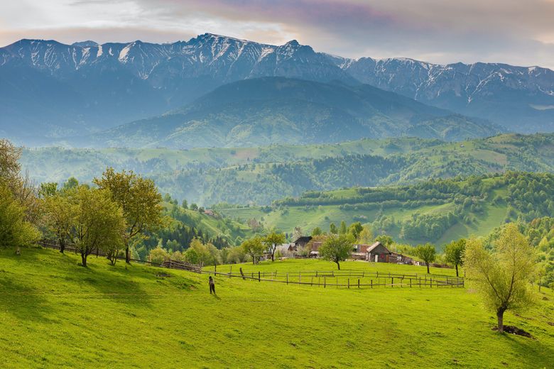 Descoperă bogățiile naturale și culturale ale Dobrogei. Top atracții turistice ce trebuie vizitate