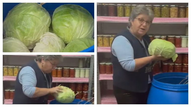 „Cum alegem varza? Să fie plată, cu frunzele subțiri” Gina Bradea, rețeta de cea mai bună varză murată! Sfaturi prețioase de care trebuie să ții cont pentru cele mai bune murături „Cum alegem varza? Să fie plată, cu frunzele subțiri” Gina Bradea, rețeta de cea mai bună varză murată! Sfaturi prețioase de care trebuie să ții cont pentru cele mai bune murături