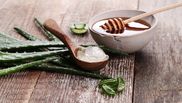 Cum pot femeile să își îndrepte părul cu ajutorul frunzelor de aloe vera! Trucul este neașteptat de eficient