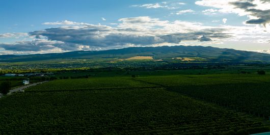 Sâmbătă, de la ora 15:00, în ”ROventura”,        Vrancea, “țara viei și a vinului”