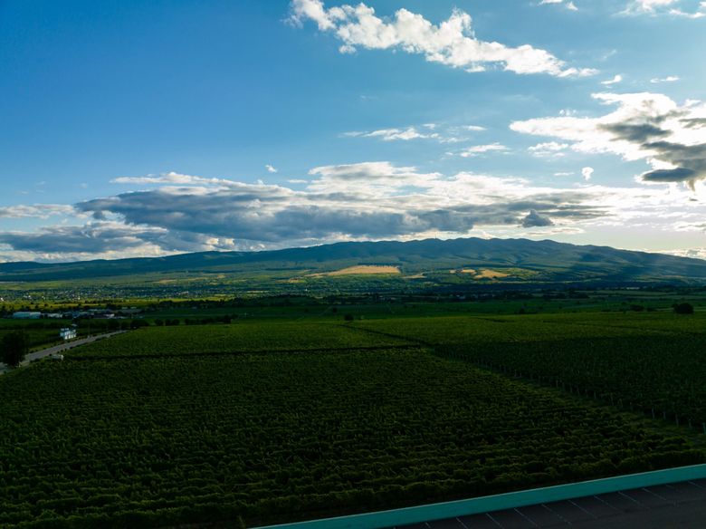 Sâmbătă, de la ora 15:00, în ”ROventura”,        Vrancea, “țara viei și a vinului”