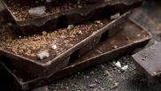 Bucurie în farfurie. 12 alimente care sunt adevărate remedii impotriva depresiei si anxietatii