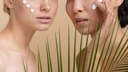 Minunea verde. Aloe Vera și beneficiile nebănuite pentru sănătate și frumusețe