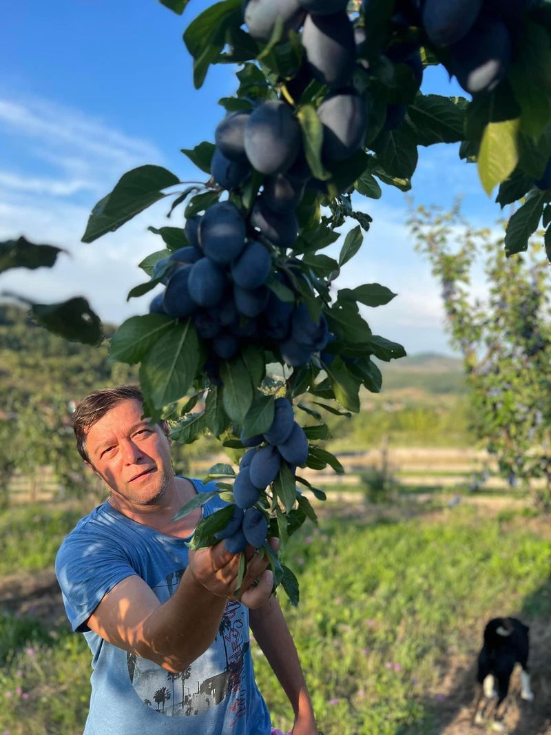 Cine este Văru' Sandel. &ldquo;Au zis că sunt un văr venit &icirc;n vizită &icirc;n seara de Revelion&rdquo;