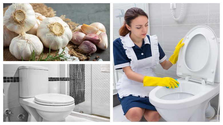 Cât de eficient poate fi usturoiul pentru curățarea toaletei. Trucul eficient pentru toate femeile! Cât de eficient poate fi usturoiul pentru curățarea toaletei. Trucul eficient pentru toate femeile!