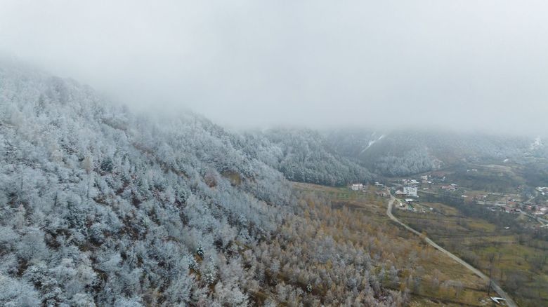 Sâmbătă, de la ora 15:00, în ”ROventura”, Incursiune de poveste prin ținutul lui Brâncuși