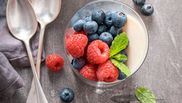 panna cotta cu fructe de padure