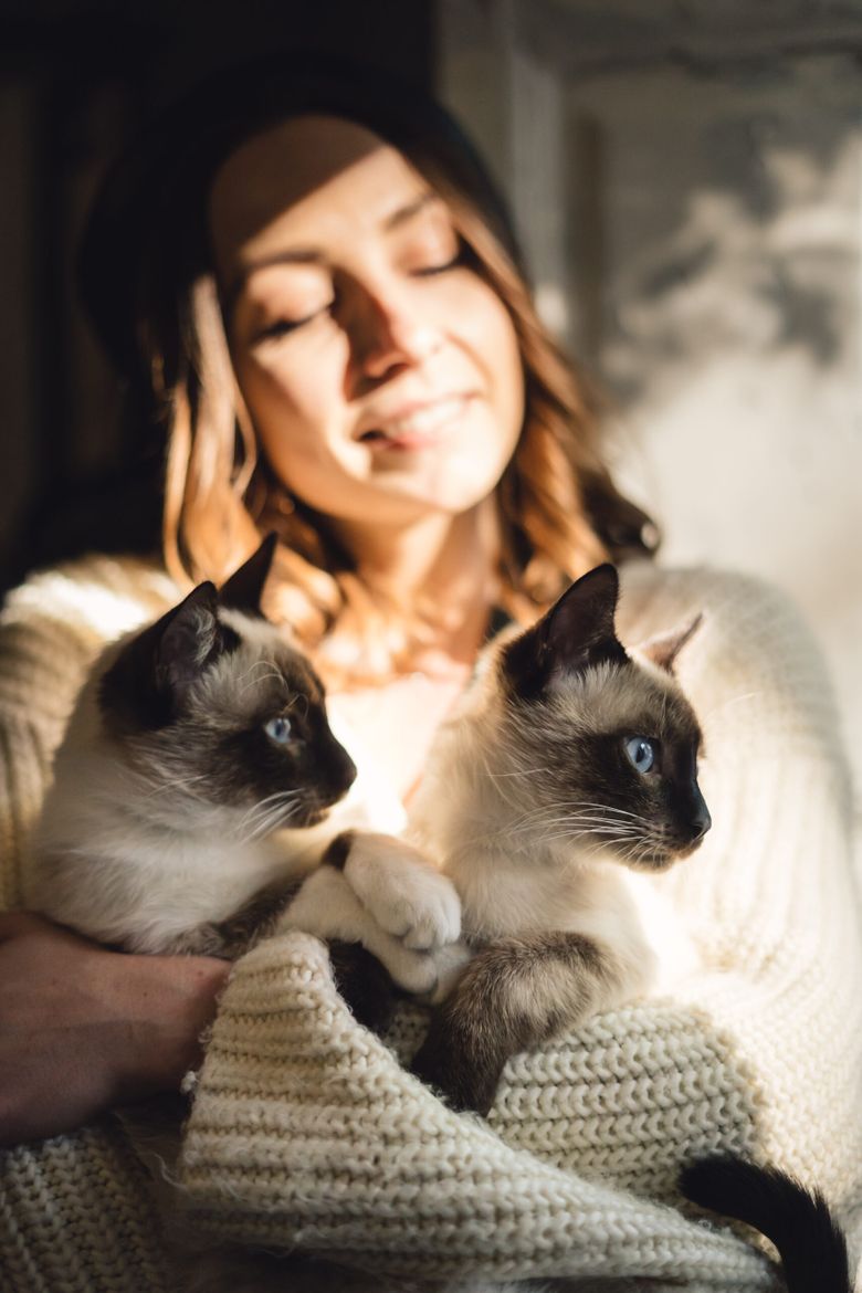 9 motive pentru care pisica ta doarme lângă tine