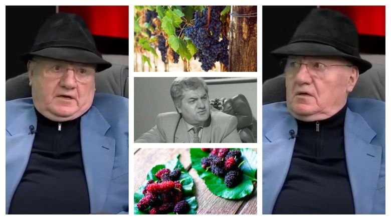 „Nu am avut copilărie, doar muncă! La 5 eram la animale. Seara cădeam lat. Tata era o fiară de om.” Mitică Dragomir, mărturisiri dureroase despre copilăria sa! „Nu am avut copilărie, doar muncă! La 5 eram la animale. Seara cădeam lat. Tata era o fiară de om.” Mitică Dragomir, mărturisiri dureroase despre copilăria sa!