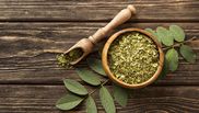 Beneficii oregano împotriva insectelor
