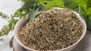 Beneficii oregano împotriva insectelor