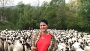 Geta Sterp, întâlnire neașteptată în timp ce stătea cu oile pe drum! Tânăra a povestit totul în mediul online, după ce a vorbit cu soțul său