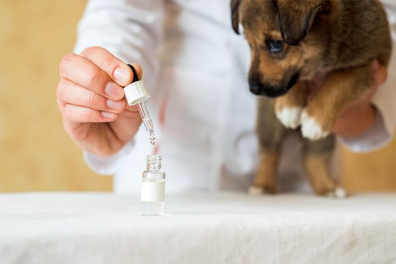 ulei esential pentru animalele de companie
