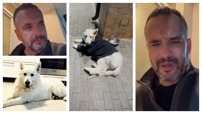 Mădălin Ionescu, în lacrimi! Câinele familiei s-a stins din viață „Am trăit cu o durere imensă ultimele lui clipe!” Mădălin Ionescu, în lacrimi! Câinele familiei s-a stins din viață „Am trăit cu o durere imensă ultimele lui clipe!”