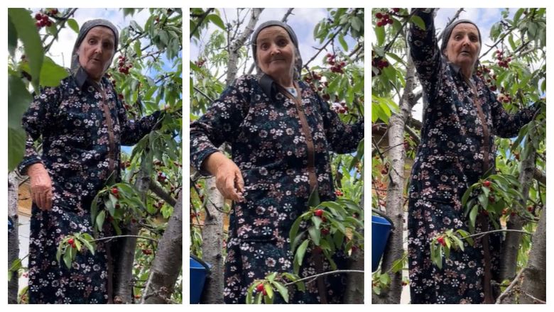 Bunica Gherghina, cocoțată în cireș! Cum a reacționat nepoata sa când a văzut-o pe femeia în vârstă de 75 de ani culegând cireșe! „Vii și mă dai tu jos? Să vedem dacă poți!”