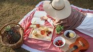Locuri unde poți să faci un picnic în București și în apropiera sa