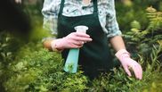 Spray pentru plante