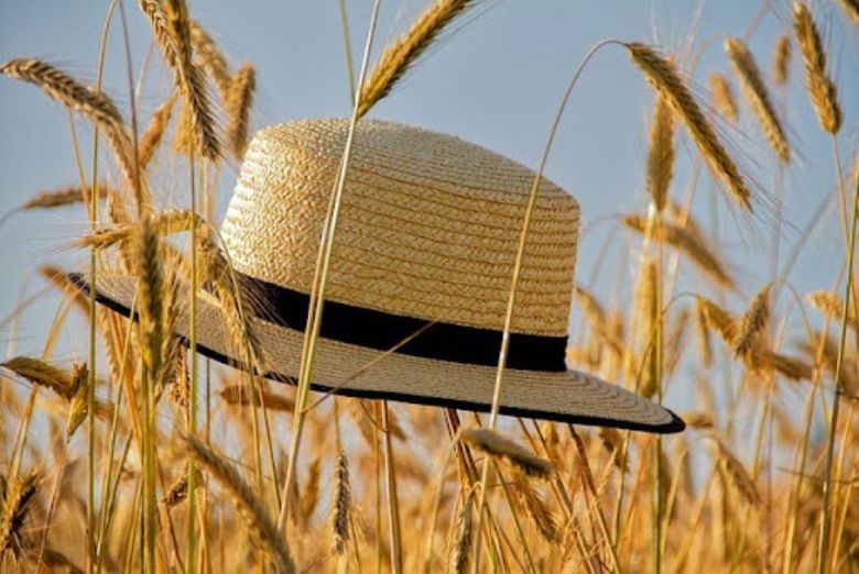 Vara pe sub boruri - pălăria ca accesoriu versatil Vara pe sub boruri - pălăria ca accesoriu versatil
