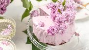 cheesecake cu afine