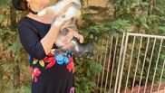 Irina Loghin, o iubitoare înrăită a animalelor! Interpreta de muzică populară este extrem de atașată de pisica sa, Ana