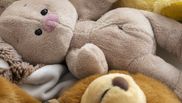 Metoda prin care să îți cureți jucăriile de pluș preferate