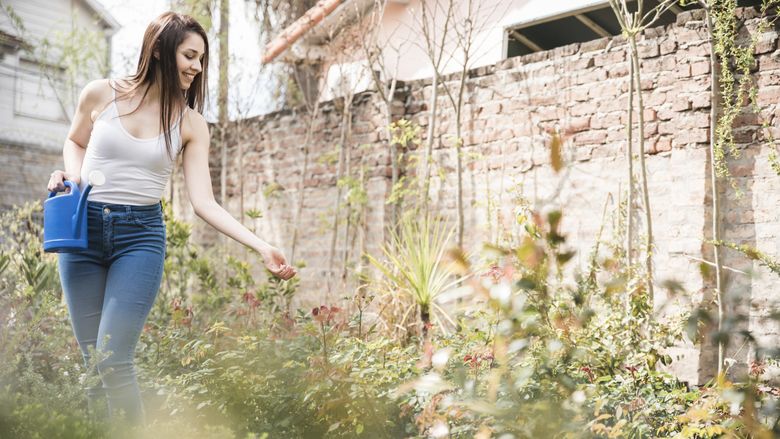 Secrete naturale pentru a ține țânțarii la distanță. Descoperă puterea plantelor! Secrete naturale pentru a ține țânțarii la distanță. Descoperă puterea plantelor!